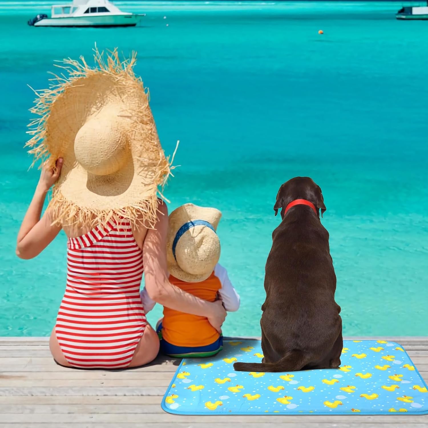 Cat Cooling Mat- Pet Ice Mat Outdoor for Dogs Self Cooling Pad for Kitten Cat Puppy Machine Washable (Medium, Blue Duck)