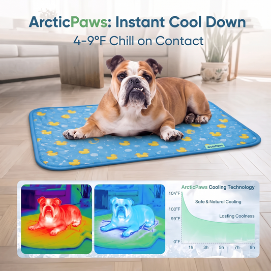 Arctic Paws
